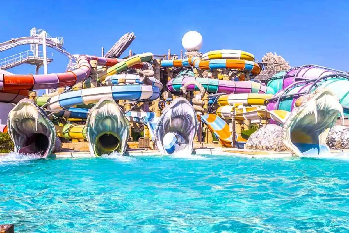 Abu Dhabi City Tour + Any Two Parks - Dubai Tours